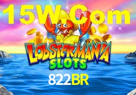 Programa VIP 822BR